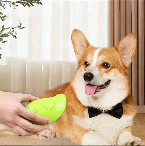 CEPILLO A VAPOR PARA MASCOTAS🐾 + Envío Gratis