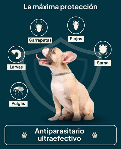 COLLAR ANTIPULGAS PARA MASCOTAS 🐶+ 🔥 LLEVA GRATIS CEPILLO A VAPOR 🔥 15% OFF