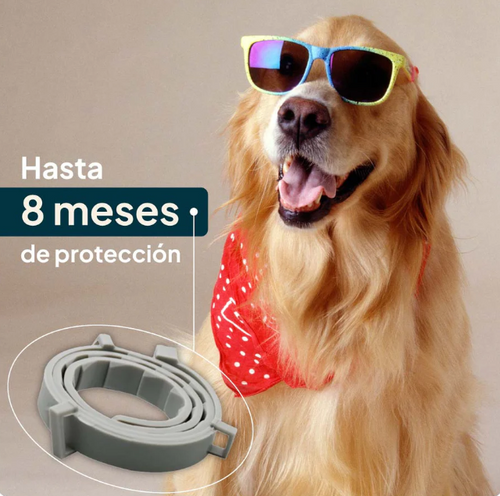 COLLAR ANTIPULGAS PARA MASCOTAS 🐶+ 🔥 LLEVA GRATIS CEPILLO A VAPOR 🔥 15% OFF
