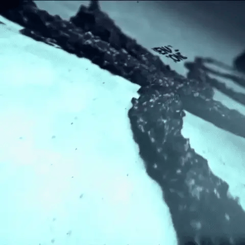 ULTRA COAT® | Sellador Impermeabilizante de 500 mL + Brocha de Regalo 🎁