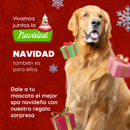 Gafily ® l Gafas HD Para Conducir de DIA y NOCHE 2 x 1 ( Mas Obsequio Sorpresa Para Tu Peludito 🐶 😻 )