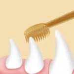 Cepillo de dientes para mascotas FlexiBrush. con raspador de lengua.