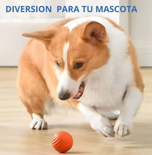 Dog Ball© - Bola de juguete para perros inteligente 2024